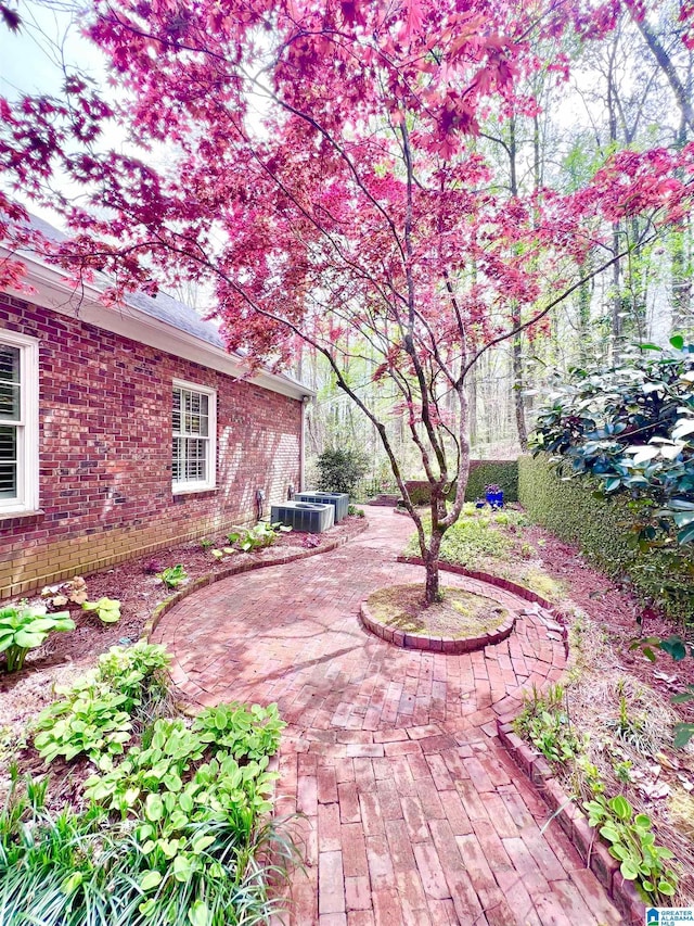 view of patio featuring central AC