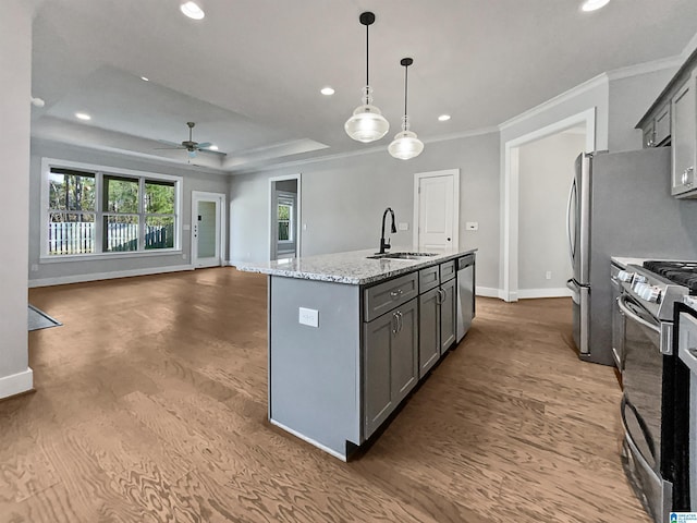 571 Grayson Pl, Chelsea, AL 35043 - kitchen with gray cabinets, a sink, stainless steel appliances, and a raised ceiling