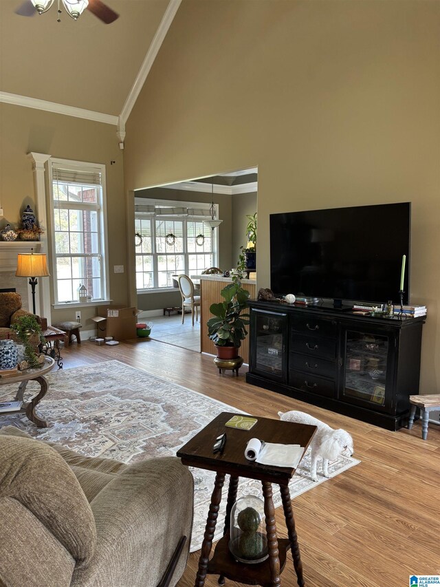 living room featuring wood finished floors, high vaulted ceiling, crown molding, and ceiling fan