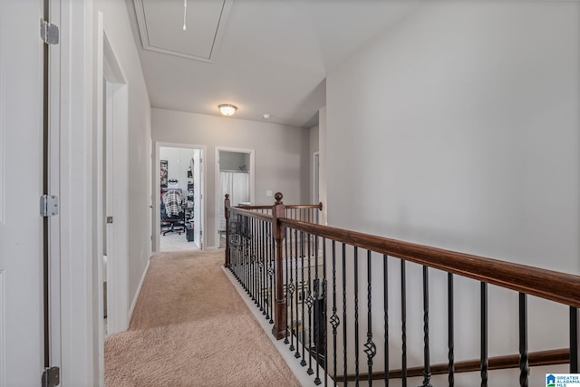 hall featuring attic access, baseboards, and carpet floors