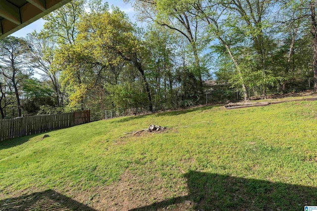 1324 W Navajo Dr, Alabaster, AL 35007 - view of yard with fence