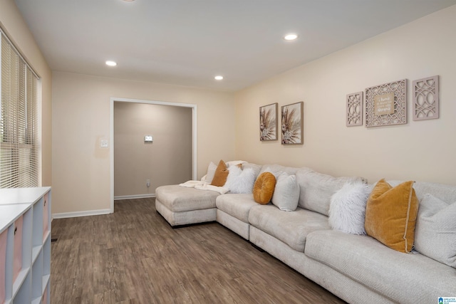 1324 W Navajo Dr, Alabaster, AL 35007 - living area with wood finished floors, baseboards, and recessed lighting