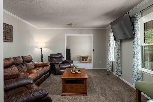 470 16th St, Calera, AL 35040 - living room with crown molding, carpet floors, and a textured ceiling