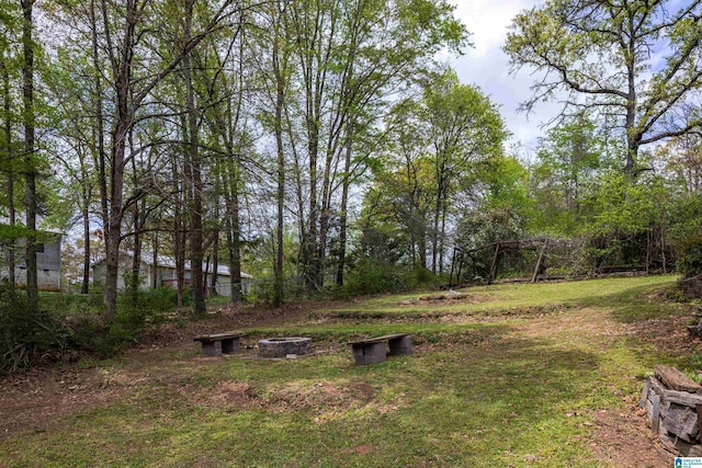 470 16th St, Calera, AL 35040 - view of yard
