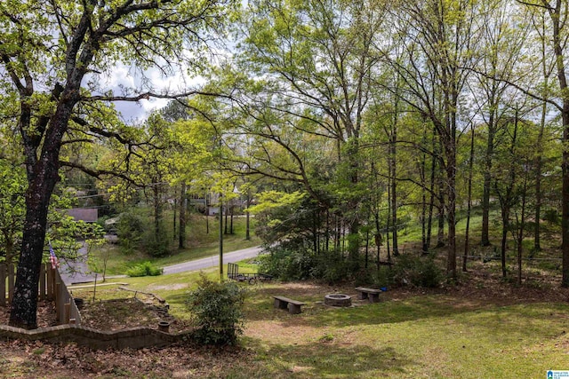 470 16th St, Calera, AL 35040 - view of community featuring an outdoor fire pit and a lawn