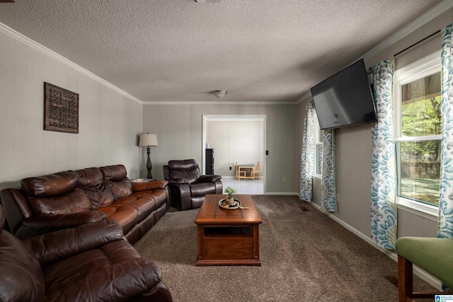 470 16th St, Calera, AL 35040 - living room featuring a textured ceiling, carpet floors, and ornamental molding