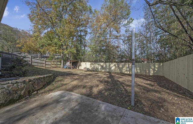 view of yard with a patio and a fenced backyard