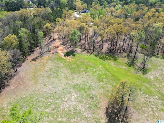 2240 Hillview Rd, Birmingham, AL 35022 - drone / aerial view featuring a wooded view