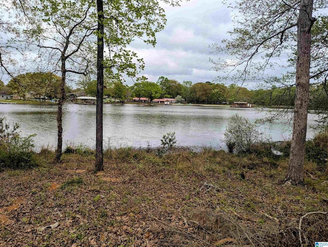 Castaway Rd Unit 190, Sylacauga, AL 35151