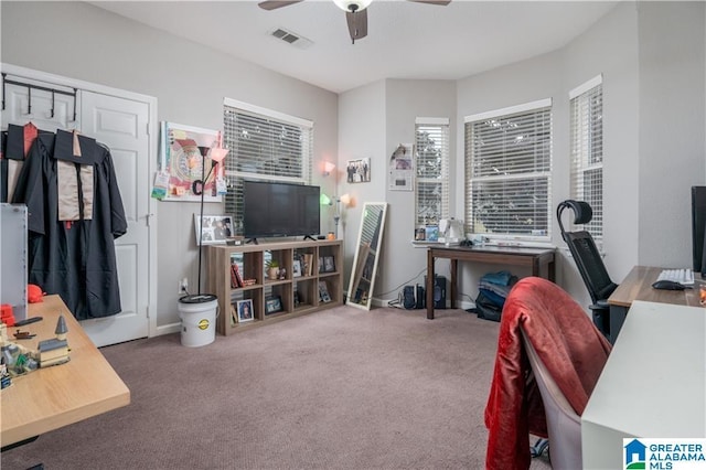 600 13th St E Unit 914, Tuscaloosa, AL 35401 - office with ceiling fan and carpet