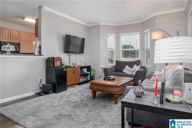 600 13th St E Unit 914, Tuscaloosa, AL 35401 - living room with crown molding and baseboards