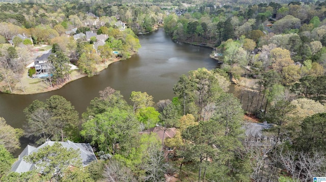 4049 Water Willow Ln, Hoover, AL 35244 - bird's eye view featuring a wooded view and a water view