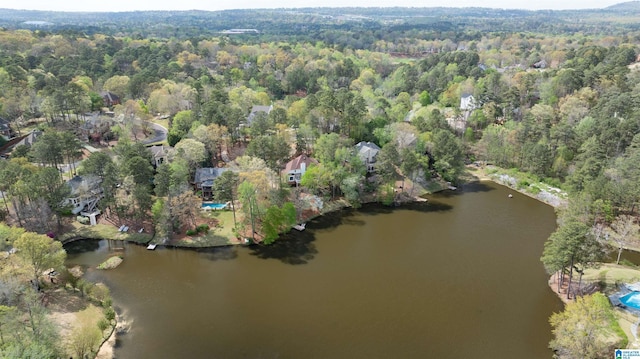 4049 Water Willow Ln, Hoover, AL 35244 - drone / aerial view featuring a forest view and a water view