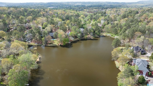 4049 Water Willow Ln, Hoover, AL 35244 - bird's eye view featuring a water view and a view of trees