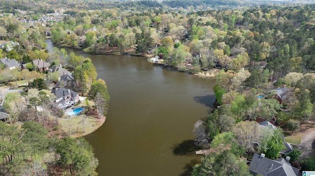 4049 Water Willow Ln, Hoover, AL 35244 - aerial view with a wooded view and a water view