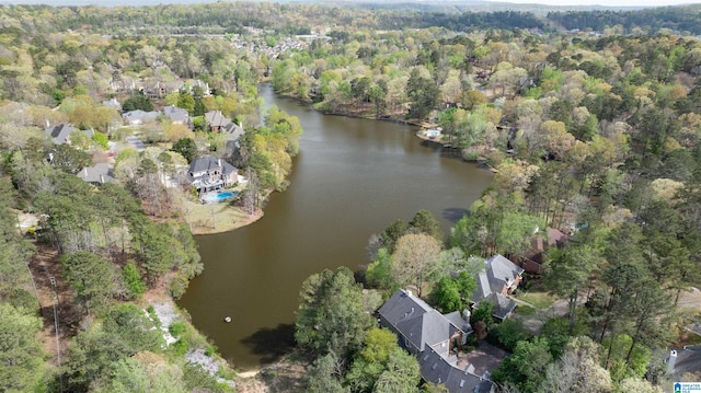 4049 Water Willow Ln, Hoover, AL 35244 - aerial view featuring a wooded view and a water view