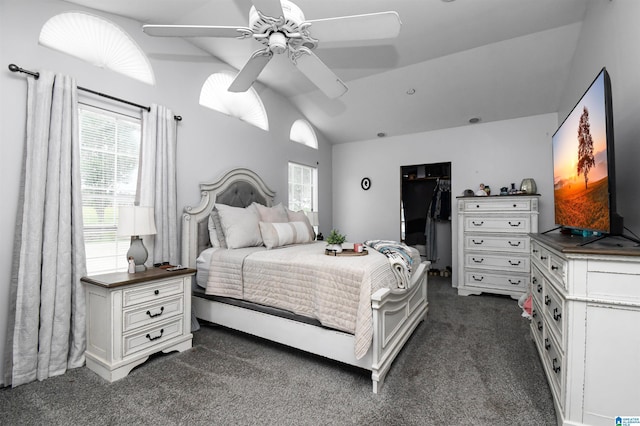 bedroom with a walk in closet, dark colored carpet, lofted ceiling, ceiling fan, and a closet