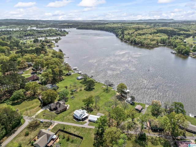 drone / aerial view featuring a wooded view and a water view