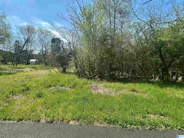 512 Butler Ave Unit 15, Bessemer, AL 35020
