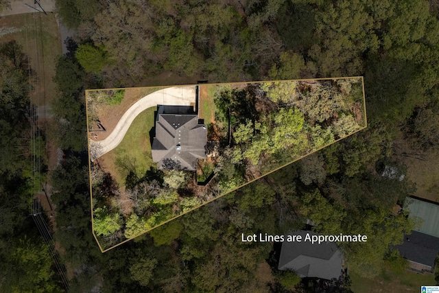 13147 Allison Dr, Lake View, AL 35111 - aerial view