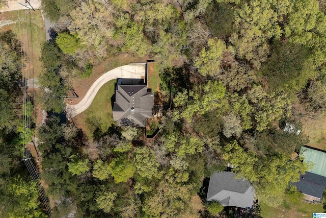 13147 Allison Dr, Lake View, AL 35111 - bird's eye view