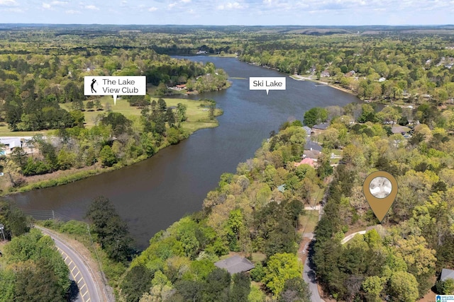 13147 Allison Dr, Lake View, AL 35111 - aerial view with a forest view and a water view