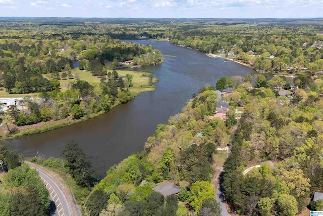 13147 Allison Dr, Lake View, AL 35111 - drone / aerial view featuring a water view and a wooded view