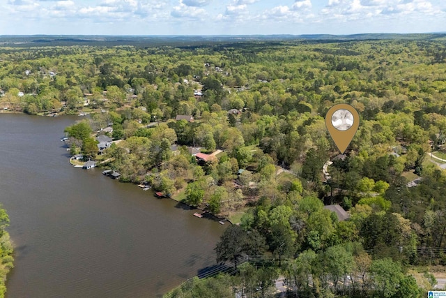 13147 Allison Dr, Lake View, AL 35111 - drone / aerial view with a wooded view and a water view