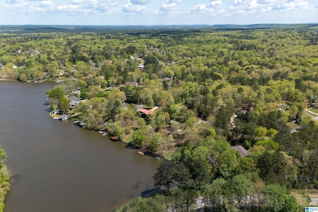 13147 Allison Dr, Lake View, AL 35111 - drone / aerial view with a wooded view and a water view