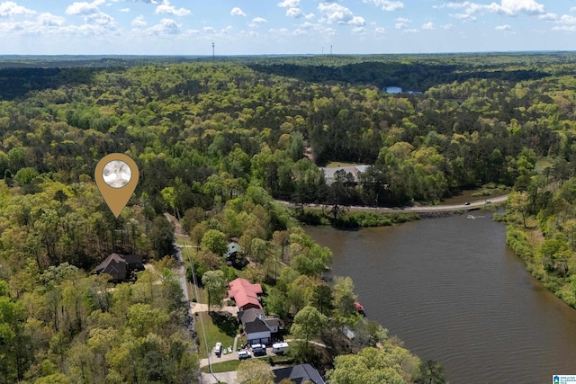 13147 Allison Dr, Lake View, AL 35111 - drone / aerial view featuring a water view and a view of trees