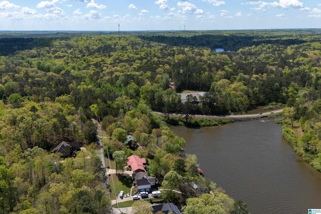 13147 Allison Dr, Lake View, AL 35111 - drone / aerial view featuring a wooded view and a water view