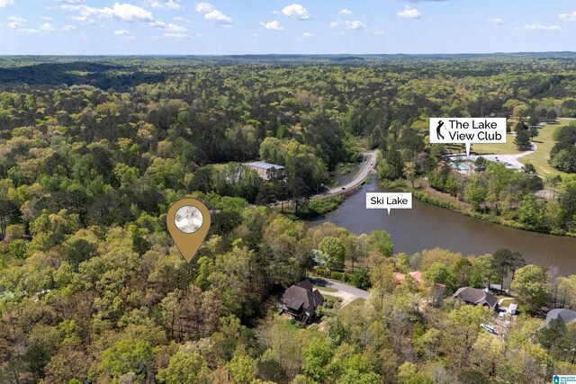 13147 Allison Dr, Lake View, AL 35111 - aerial view with a wooded view and a water view
