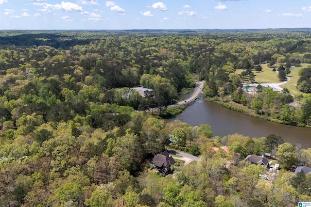 13147 Allison Dr, Lake View, AL 35111 - aerial view with a water view and a forest view