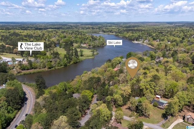 13147 Allison Dr, Lake View, AL 35111 - drone / aerial view with a forest view and a water view