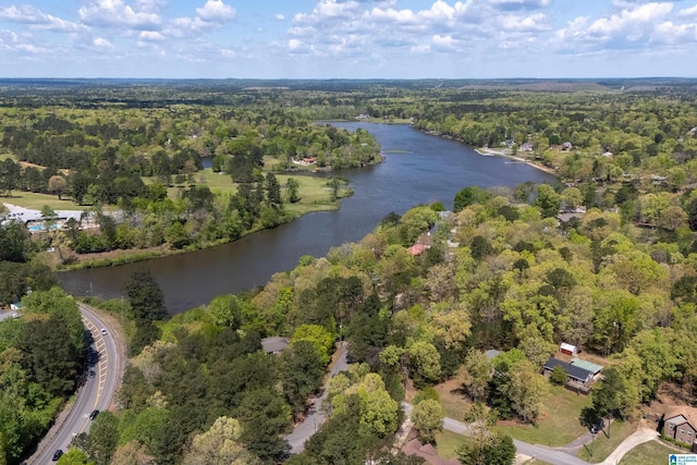 13147 Allison Dr, Lake View, AL 35111 - birds eye view of property featuring a water view and a forest view