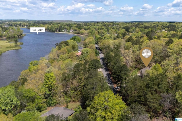13147 Allison Dr, Lake View, AL 35111 - aerial view featuring a forest view and a water view