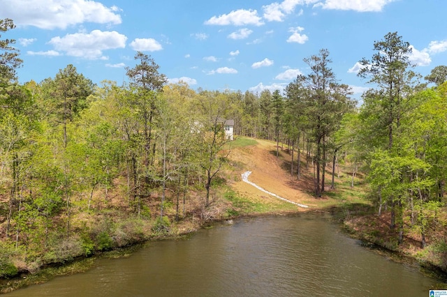 2505 Shore Side Ln, Sylacauga, AL 35151 - aerial view with a view of trees and a water view