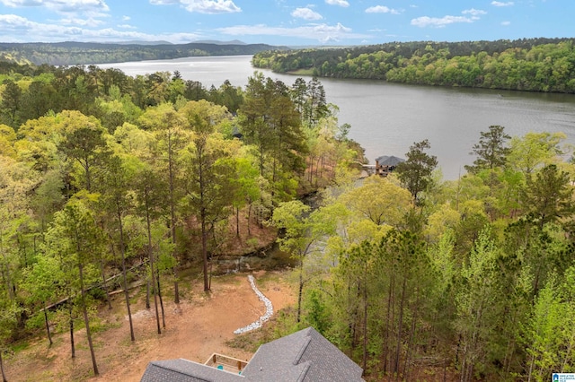 2505 Shore Side Ln, Sylacauga, AL 35151 - birds eye view of property with a wooded view and a water view