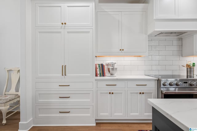 2505 Shore Side Ln, Sylacauga, AL 35151 - kitchen with stainless steel range, light wood-type flooring, white cabinetry, light stone countertops, and backsplash