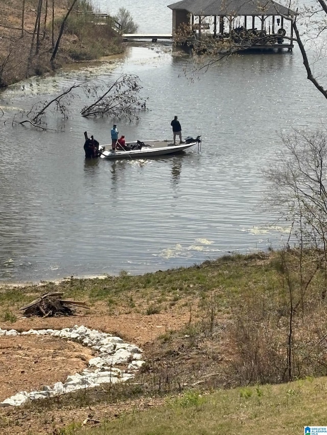 2505 Shore Side Ln, Sylacauga, AL 35151 - view of water feature