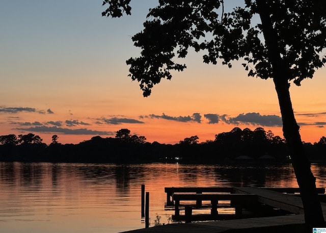 2505 Shore Side Ln, Sylacauga, AL 35151 - property view of water featuring a dock