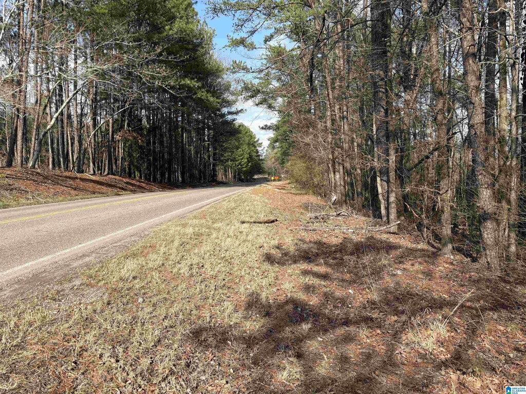 2450- Mud Creek Rd Unit 1, Adger, AL 35006