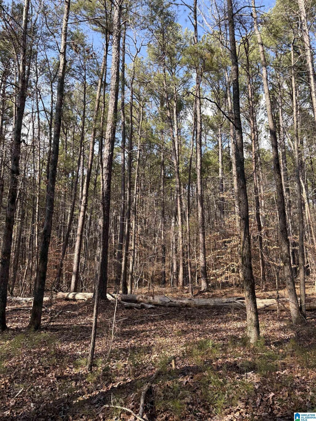 2450- Mud Creek Rd Unit 1, Adger, AL 35006
