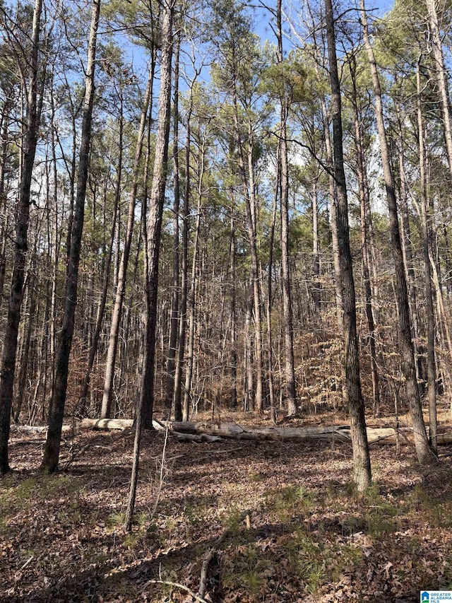 2450- Mud Creek Rd Unit 1, Adger, AL 35006