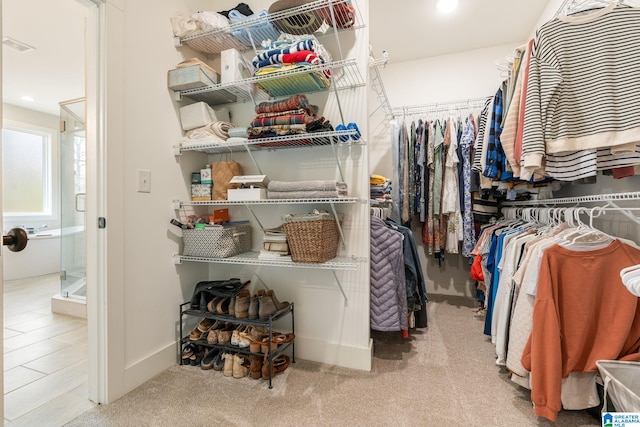 spacious closet featuring carpet
