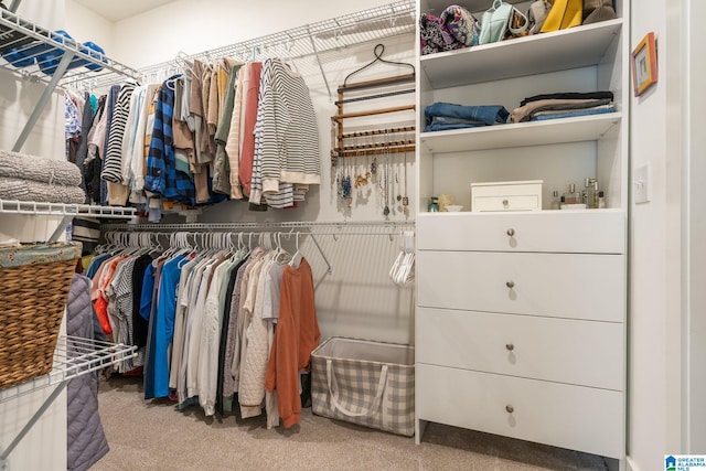 spacious closet with carpet flooring