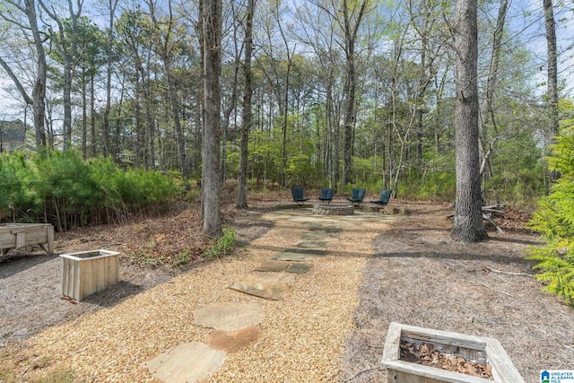 view of yard featuring a wooded view