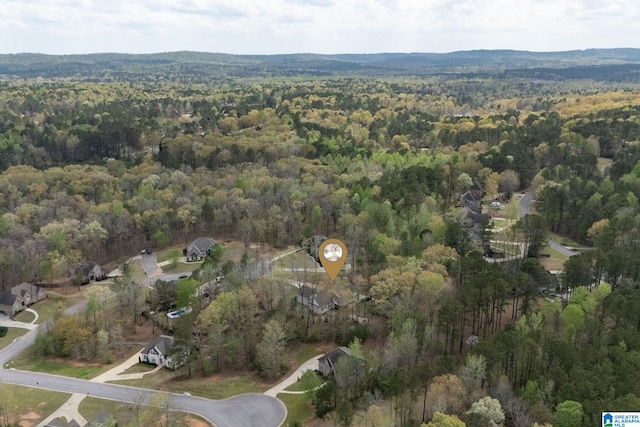 bird's eye view with a forest view