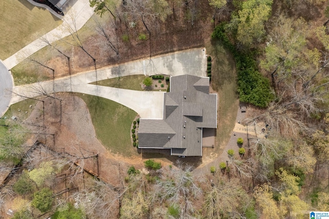 aerial view