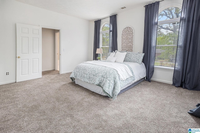 16 Eagle Rock Dr, Alabaster, AL 35007 - carpeted bedroom with visible vents, multiple windows, and baseboards